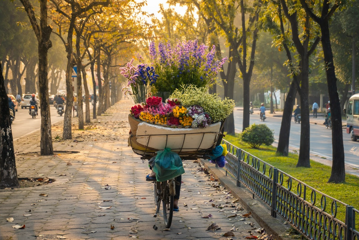 Autumn in Hanoi 